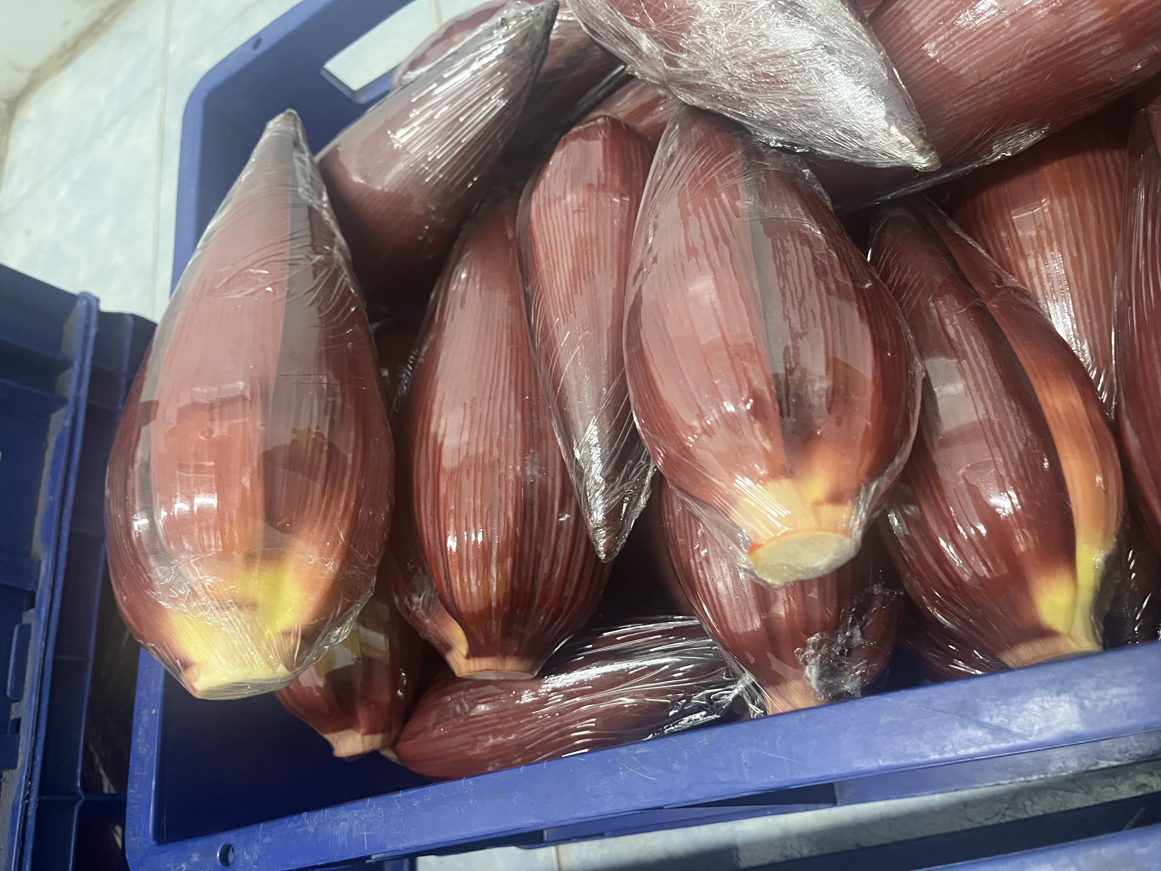 Banana Blossom