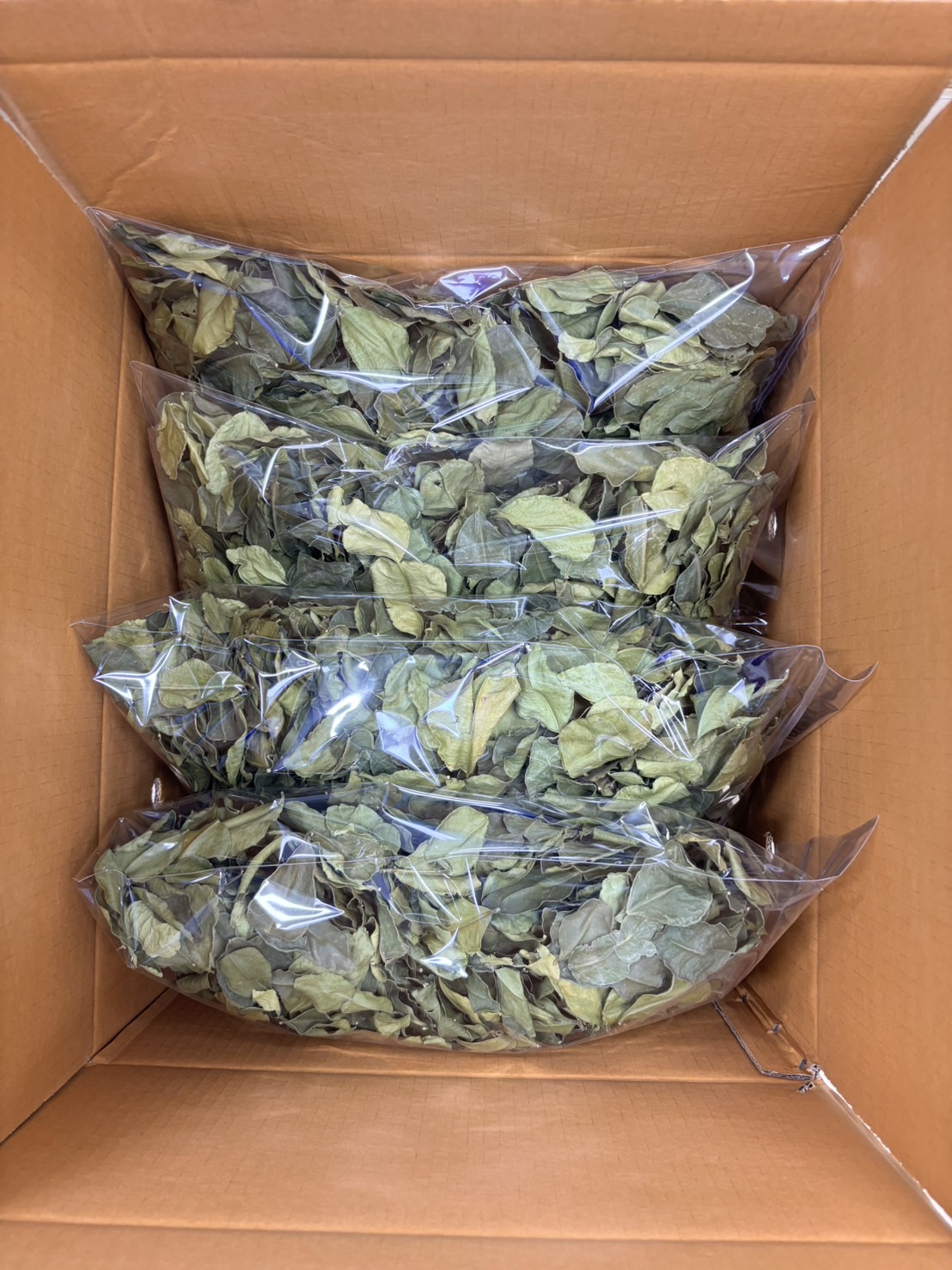 Kaffir Lime Leaves