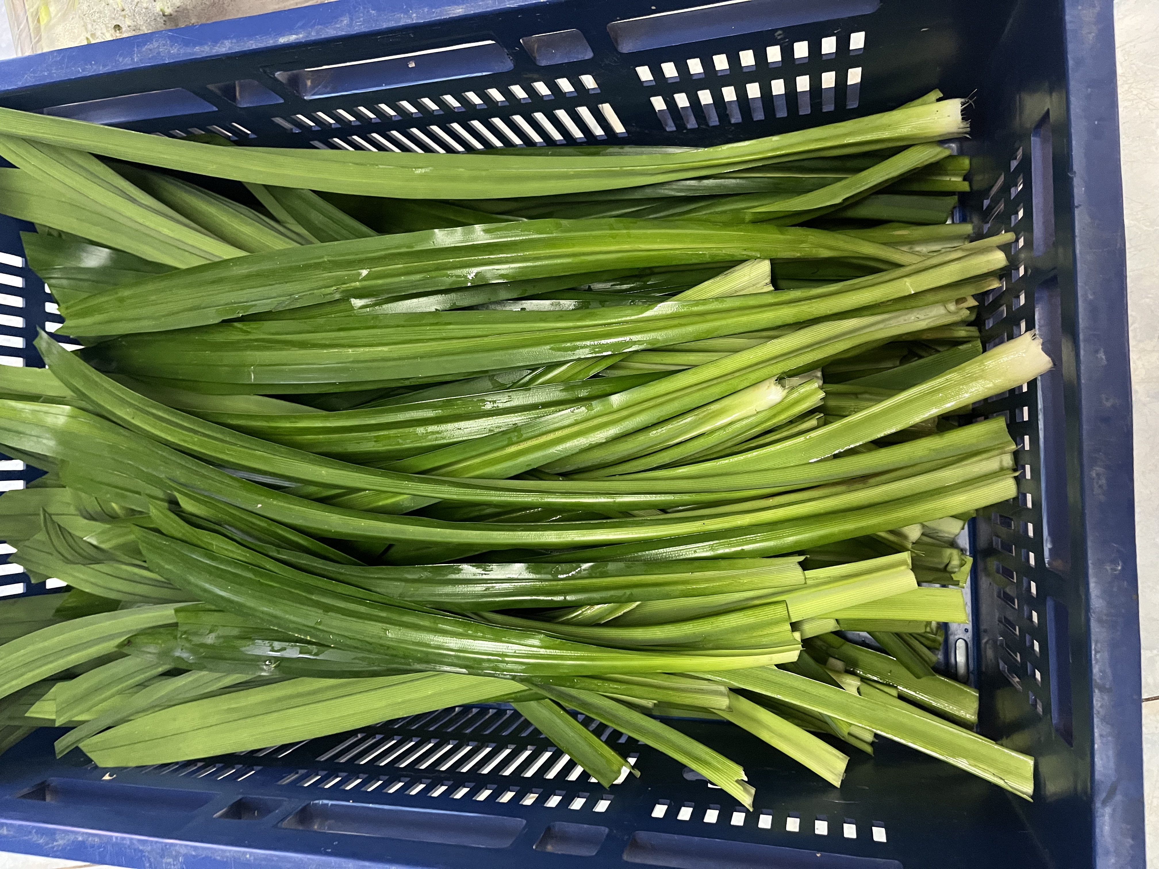Pandan Leaves